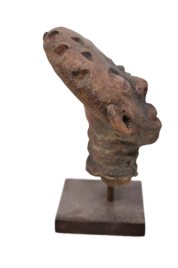 Head - Terracotta - Akan- Ghana
