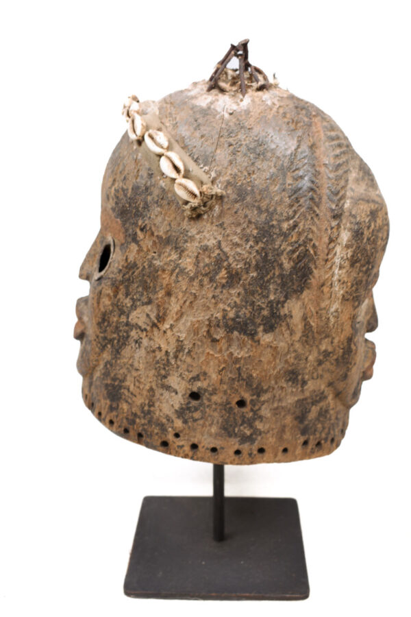 Helmet Mask - Wood, Shell, Nail - Dan - Ivory Coast