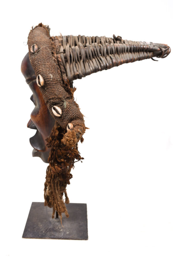 Mask - Wood, Shell, Fabric - Dan - Ivory Coast