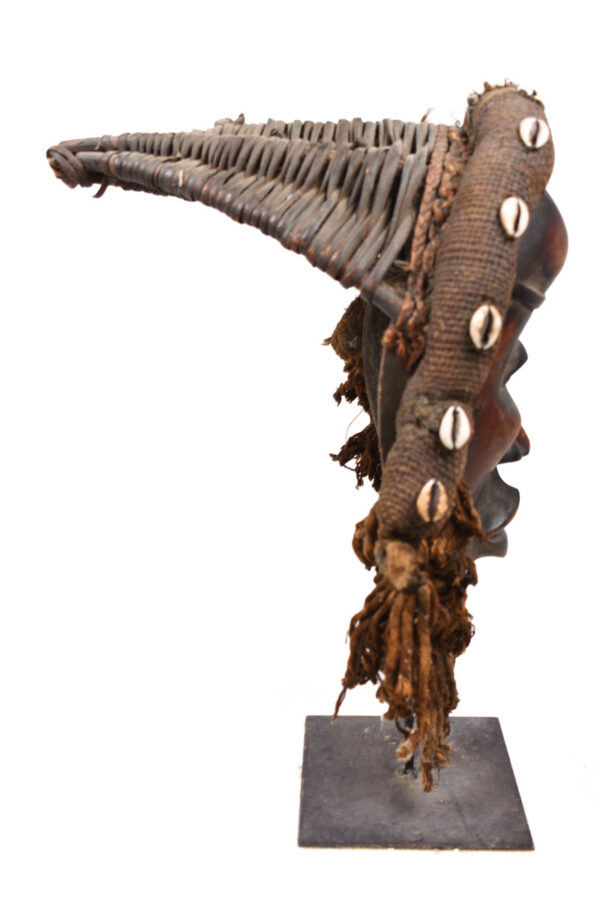 Mask - Wood, Shell, Fabric - Dan - Ivory Coast