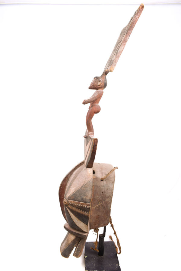 Animal Mask - Wood - Bwa - Burkina Faso