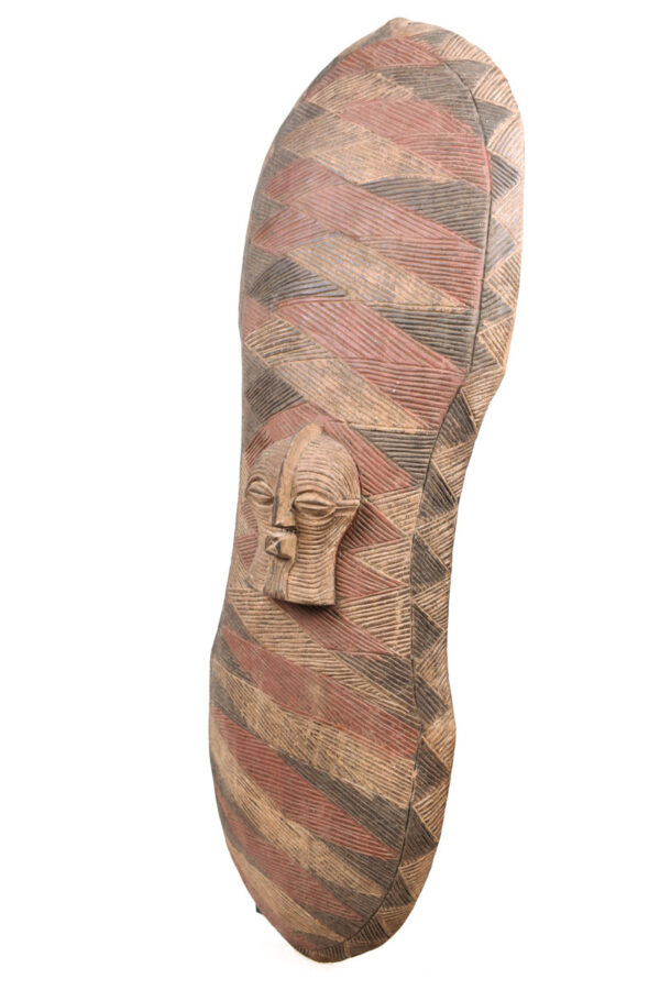 Shield - Wood - Songye - DR Congo