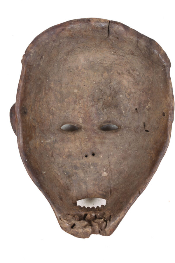 Initiation mask - Wood - Ngbaka - DR Congo