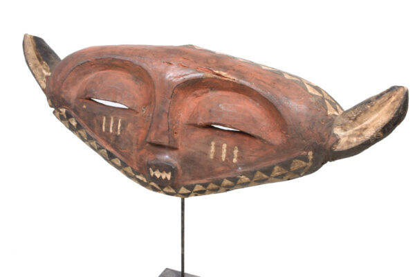 Panya Ngombe mask - Wood - Pende - Congo