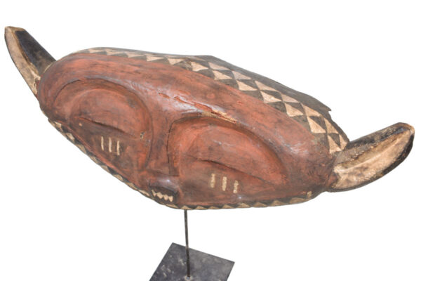 Panya Ngombe mask - Wood - Pende - Congo