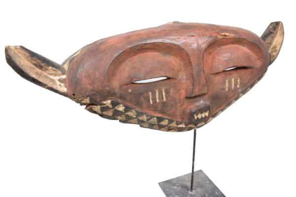 Panya Ngombe mask - Wood - Pende - Congo