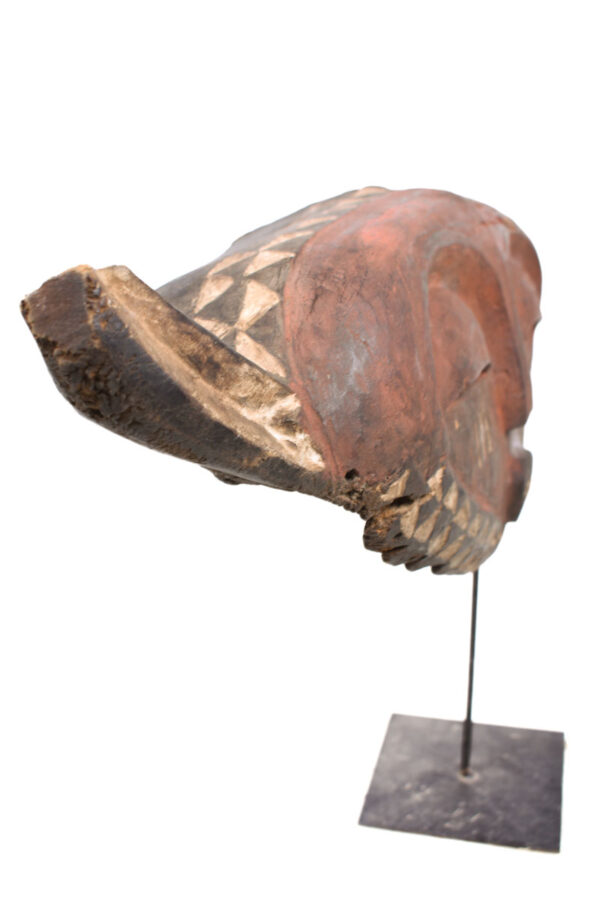 Panya Ngombe mask - Wood - Pende - Congo