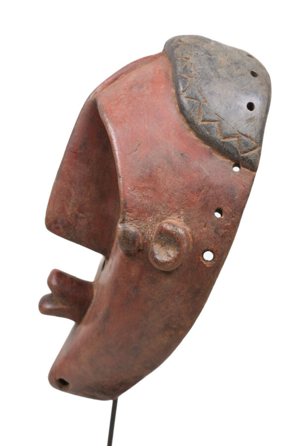 Initiation mask - Wood - Lwalwa - Congo