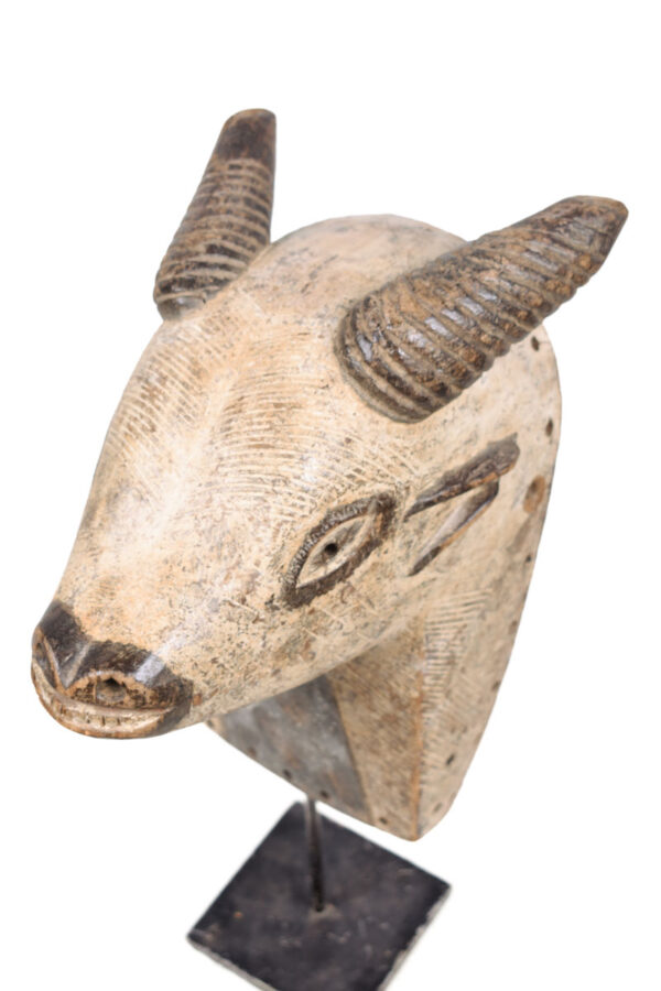 Animal Mask - Wood - Luba - DR Congo
