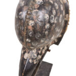 Ge Gon Mask - Wood, Feathers - Dan - Ivory Coast