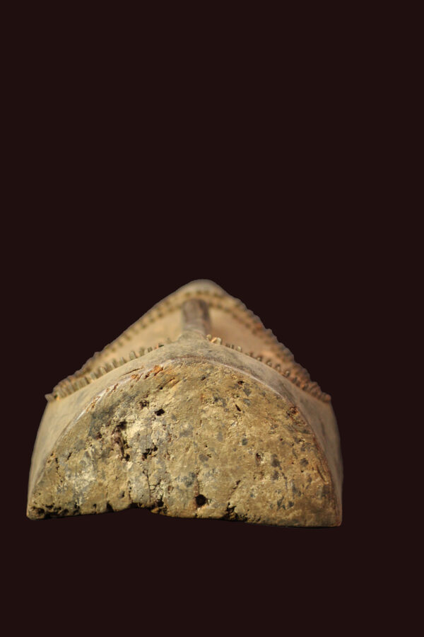 Initiation mask - Wood - Ngbaka - DR Congo