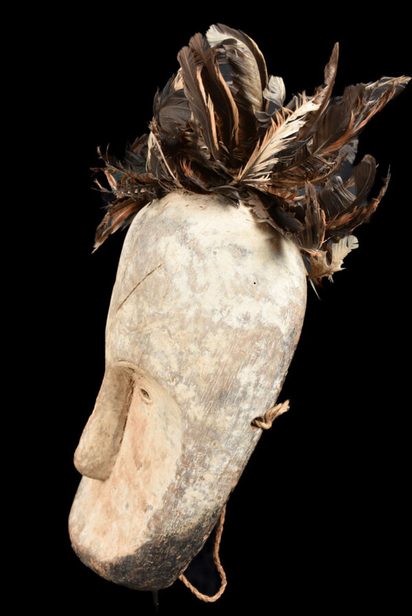 Ngil mask - Wood, Feathers - Fang - Gabon