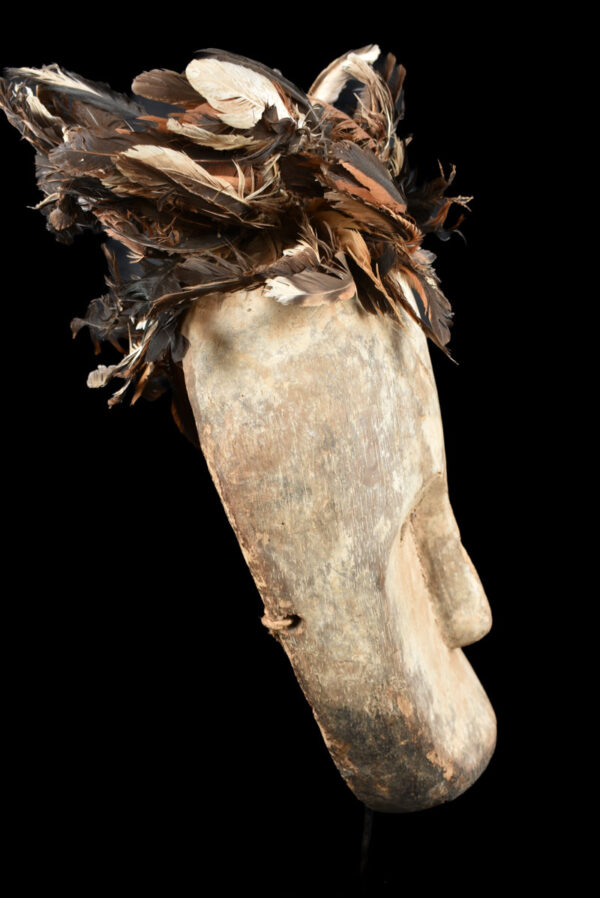 Ngil mask - Wood, Feathers - Fang - Gabon