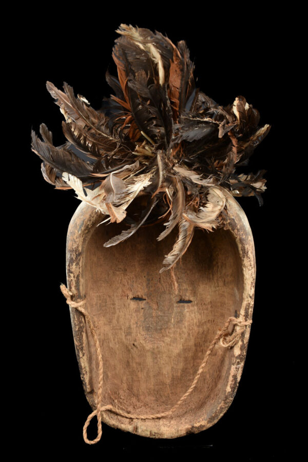 Ngil mask - Wood, Feathers - Fang - Gabon