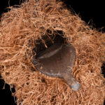 Kakunga mask - Textile, Wood, Raphia - Yaka - Congo