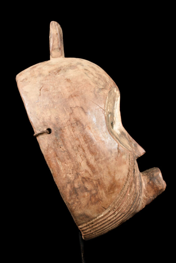 Initiation mask - Wood - Bembe - DR Congo