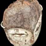 Mask - Wood - Lega - Congo