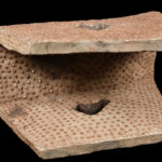 Stool - Wood - Ngombe - DR Congo