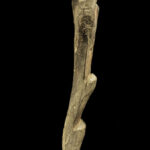 Ladder - Wood - Dogon - Mali (167 cm)