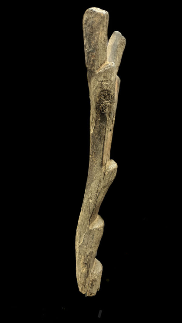 Ladder - Wood - Dogon - Mali (167 cm)