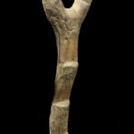 Ladder - Wood - Dogon - Mali (167 cm)