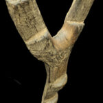 Ladder - Wood - Dogon - Mali (167 cm)