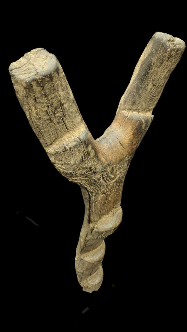 Ladder - Wood - Dogon - Mali (167 cm)