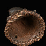 Initiation mask - Wood - Punu - Gabon