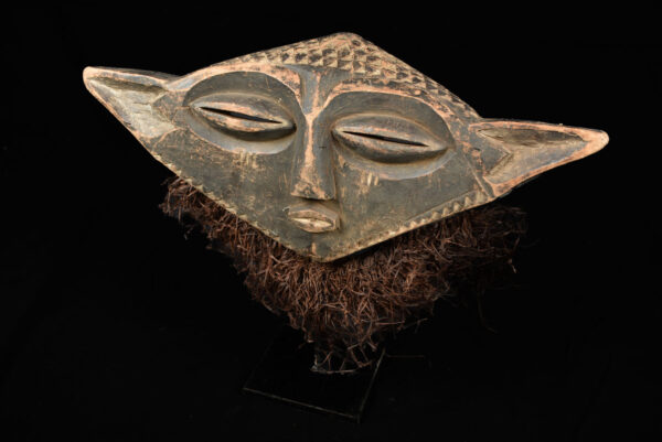 Panya Ngombe mask - Wood, Raphia - Pende - Congo