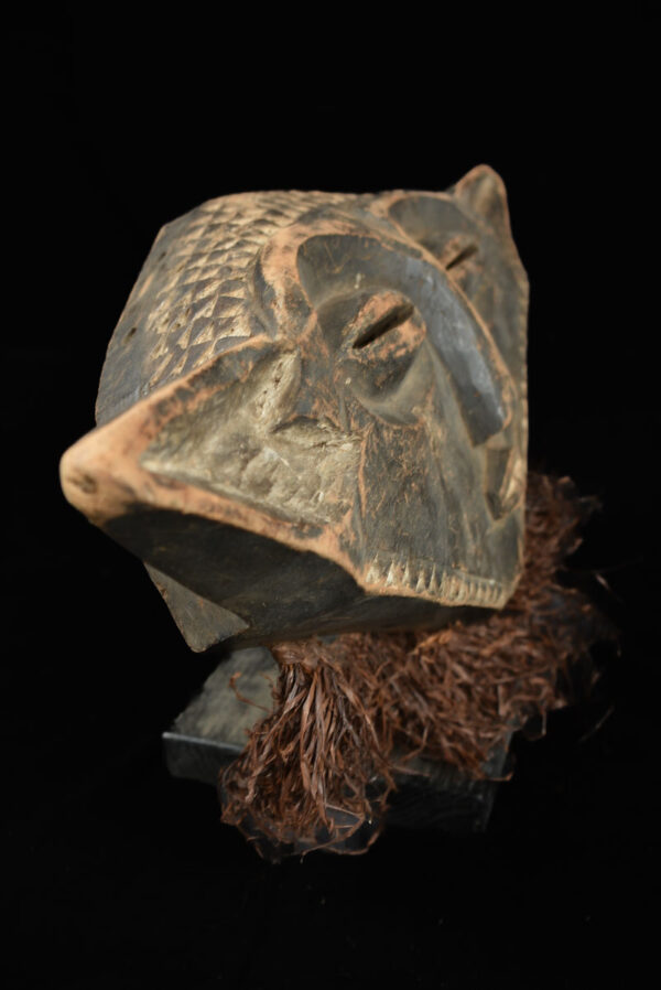 Panya Ngombe mask - Wood, Raphia - Pende - Congo