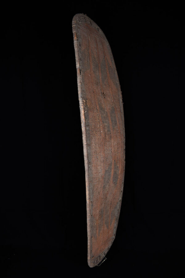Shield - Wood - Ngombe - DR Congo