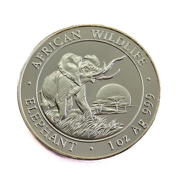 Somalia 100 Shillings 2009 Elephant