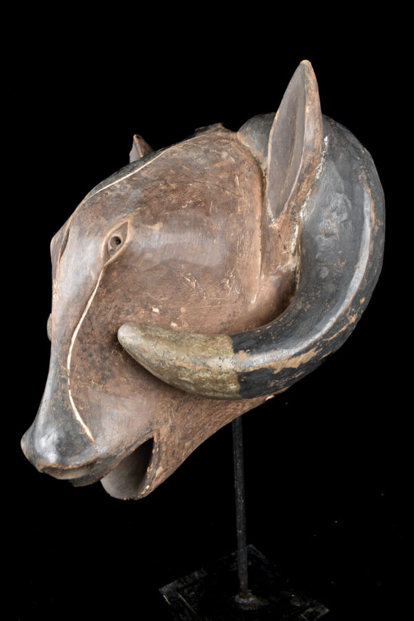 Ram mask - Wood - Baule - Ivory Coast