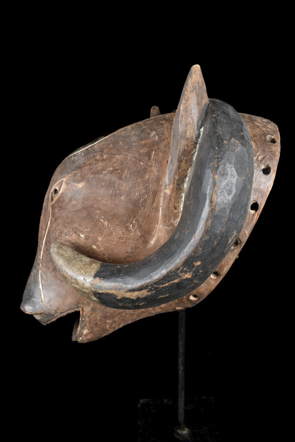 Ram mask - Wood - Baule - Ivory Coast