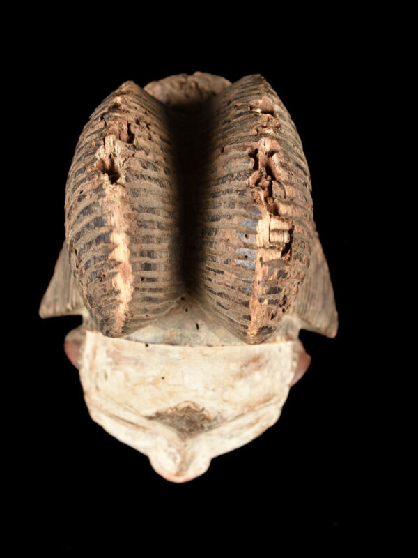 Initiation mask - Wood - Punu - Gabon