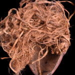 Mask - Wood, Raphia - Chokwe - Congo DRC