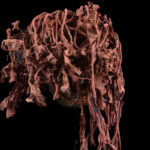 Ceremonial bird mask - Plant fibre - Chokwe - Congo