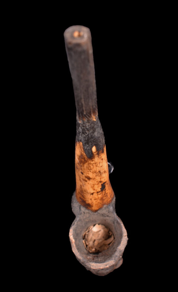 Ceremonial Pipe - Clay, Bone - Bamun - Cameroon