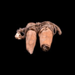 Bochio Figures - Wood - Fon - Benin
