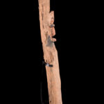 Figure - Abelam - Sepik - Papua New Guinea