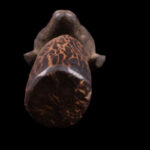 Reliquary Byeri Head - Wood- Fang - Gabon