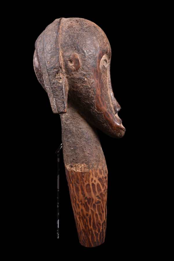 Reliquary Byeri Head - Wood- Fang - Gabon