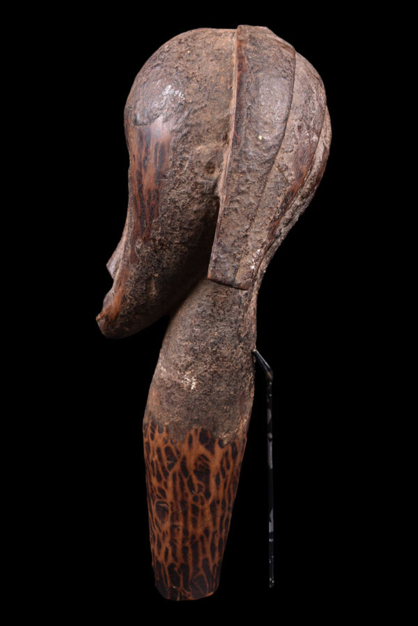 Reliquary Byeri Head - Wood- Fang - Gabon