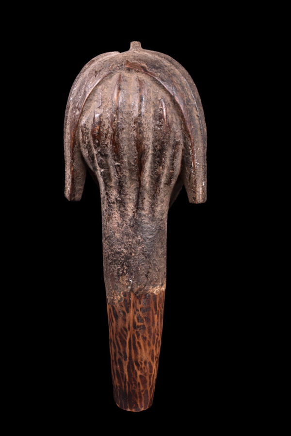 Reliquary Byeri Head - Wood- Fang - Gabon