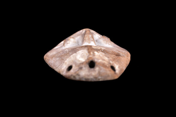 Mask - Wood - Lega - Congo