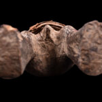 Yanda doll - Wood, Metal - Zande - Congo