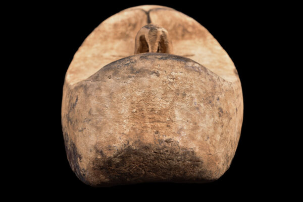 Ngil mask - Wood - Fang - Gabon
