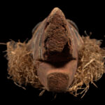 Initiation mask - Wood - Bembe - DR Congo