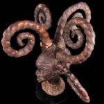 Crest Mask - Wood, Antelope skin - Ejagham - Ekoi - Nigeria