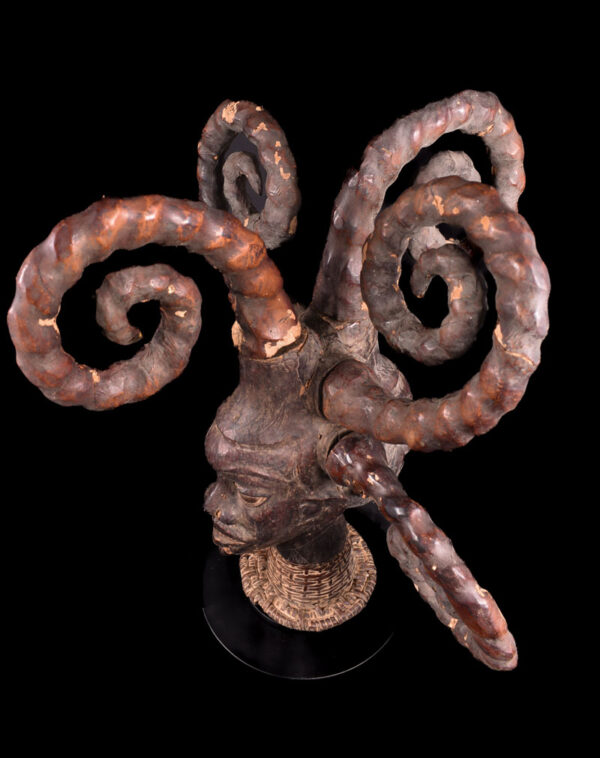 Crest Mask - Wood, Antelope skin - Ejagham - Ekoi - Nigeria